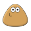 Pou