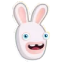 Rabbids